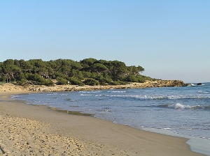 La Plataforma Salvem la Platja Llarga proposa un projecte alternatiu a l’Ajuntament de Tarragona