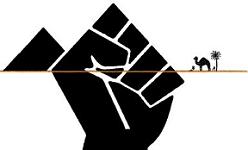 “Un any de revolució a Egipte”. Un article de Josep Maria Antentas i Esther Vivas