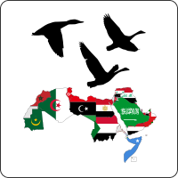 Jornades “De Palestina a Tahrir” a Tarragona, al Campus Catalunya de la URV el 23 i 24 de febrer