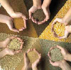 Jornades sobre sobirania alimentària, del 10 d’abril al 6 de juny a Tarragona