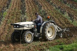 UE: protegir a l’especulador i marginar a qui ens alimenten. Ecologistes en Acció denuncia que la reforma de la Política Agrària Comuna (PAC) beneficia especialment als grans terratinents i les multinacionals