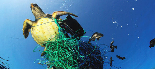 La mar Mediterrània: una sopa de plàstics