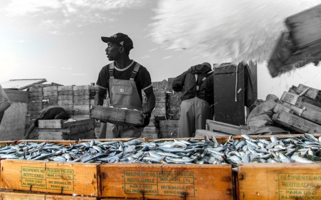 Exposició de fotografies de Christophe Sion al Bar Campus sobre una nit de pesca de la sardina a Cambrils