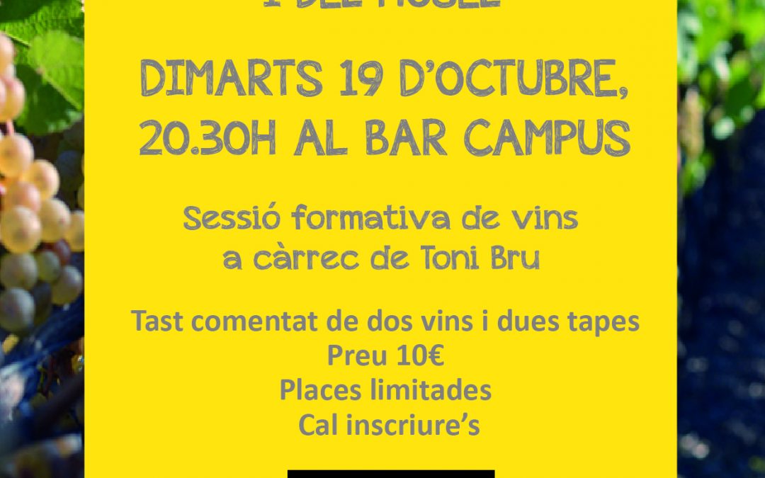 12è Tast de Vins al Bar Campus el 19 d’octubre